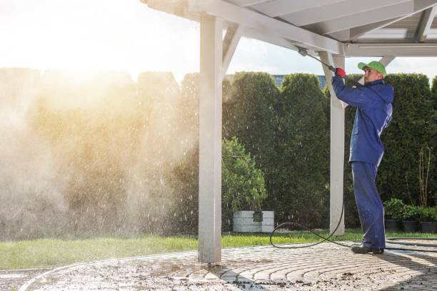 Pre-Holiday Cleaning in Altamonte Springs, FL